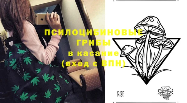 гидропоника Алексеевка