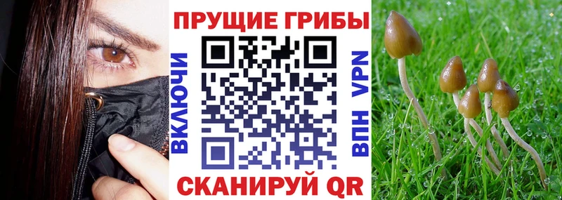Галлюциногенные грибы ЛСД  дарнет шоп  Сычёвка 